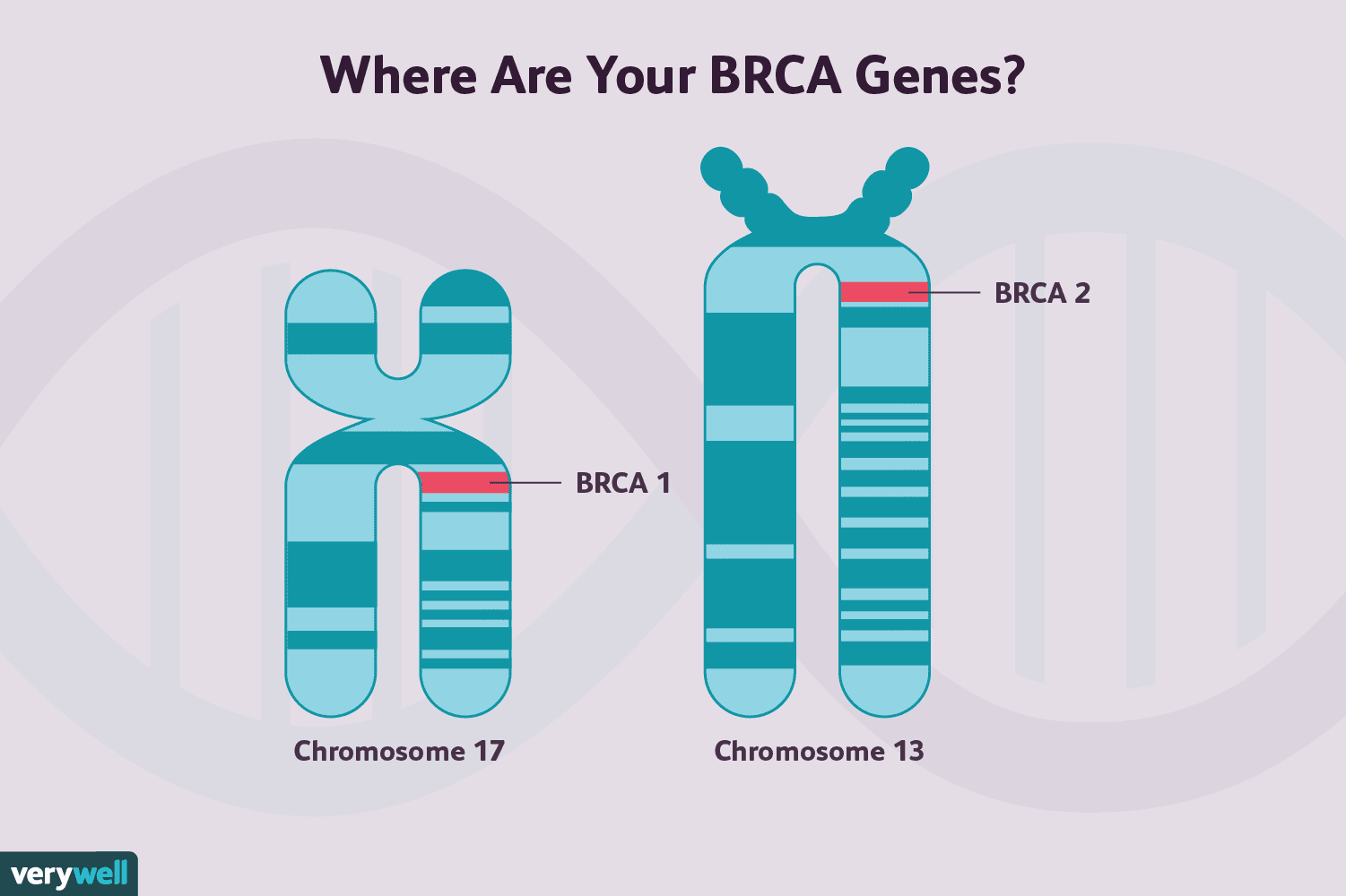 Mutations BRCA et cancer du sein 