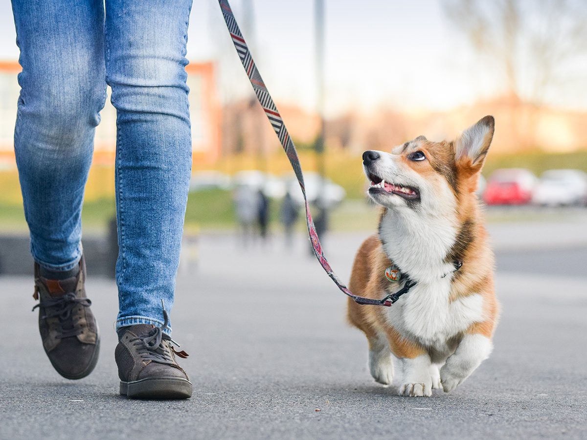 50 maneiras de perder peso sem uma lambida de exercício 