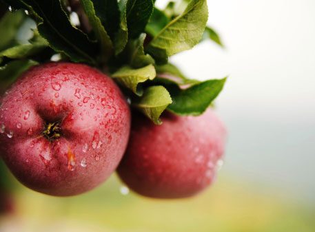 25 Möglichkeiten, um „gute“ Kohlenhydrate in Ihre Ernährung zu bringen 