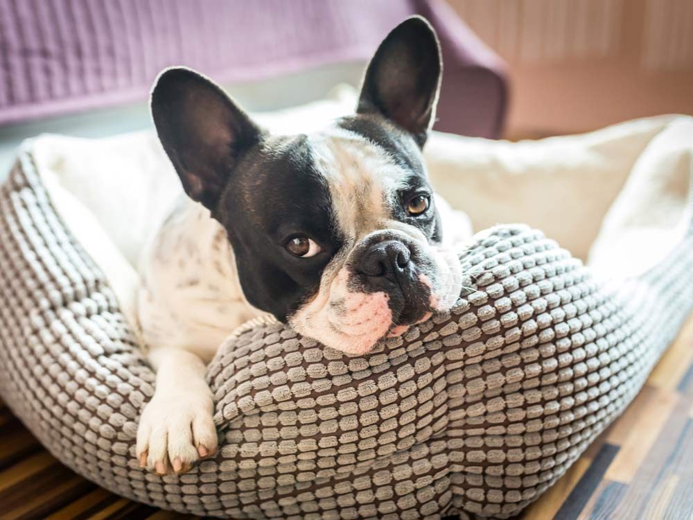 15 Dinge, von denen Sie nie wussten, dass Sie in die Waschmaschine stecken konnten 