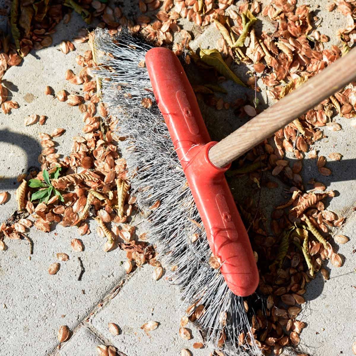 19 hemvaror du bör städa varje månad 