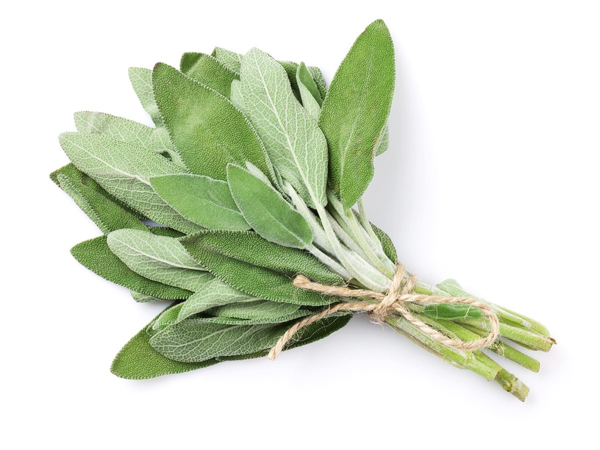 10 herbes et épices de guérison qui méritent d être ajoutées à vos repas 