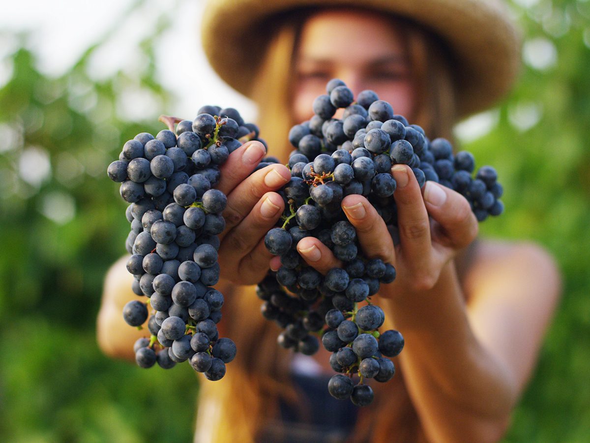 29 aliments qui peuvent aider à prévenir le cancer 