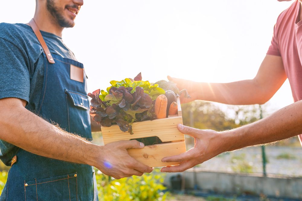 10 conseils alimentaires sains qui sont bons pour la planète aussi 