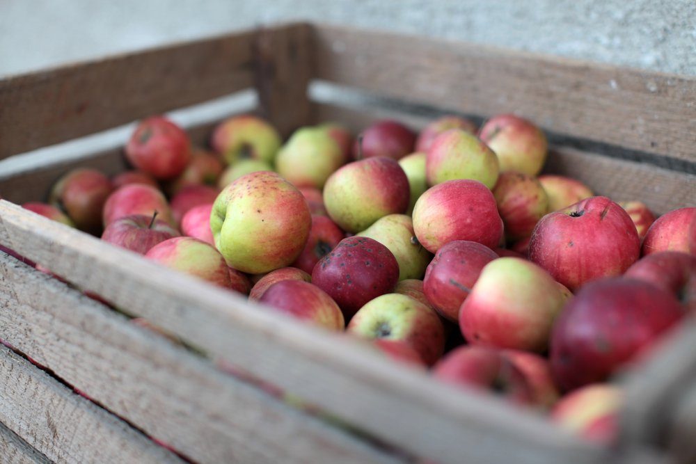 10 des fruits les plus sains pour votre corps 