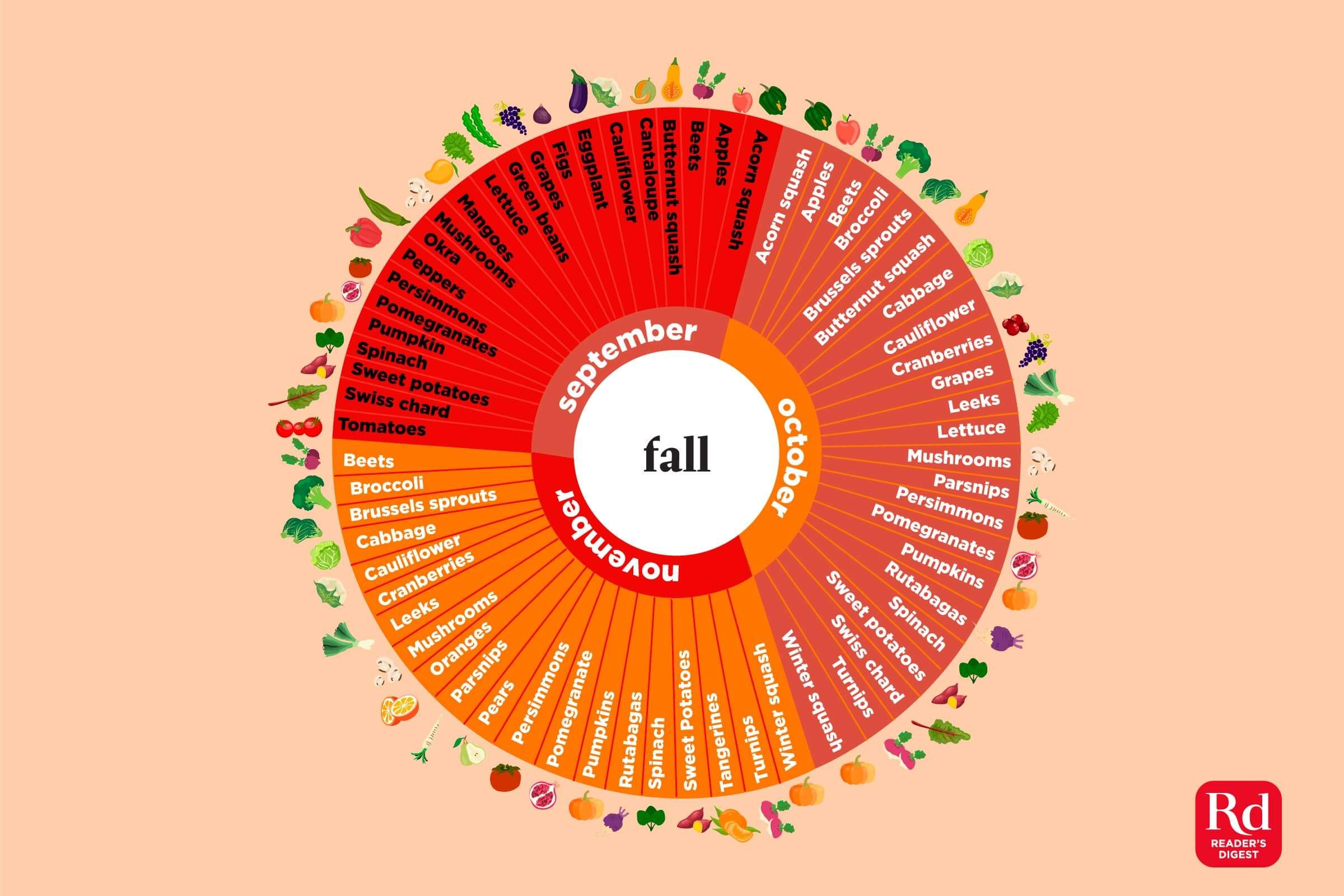 Ces infographies montrent lorsque les fruits et légumes sont en saison pour chaque mois de l année 