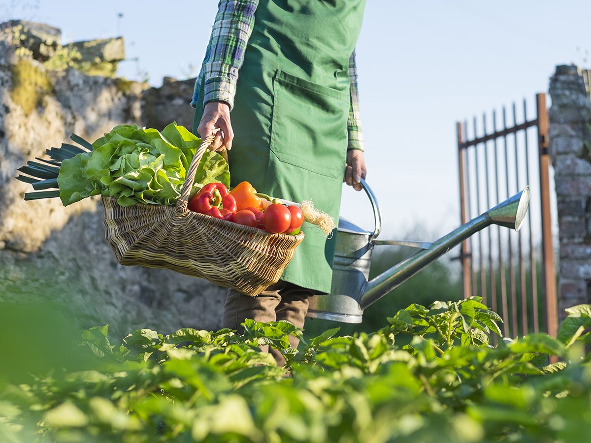 8 signes clairs, vous ne mangez pas assez de légumes 