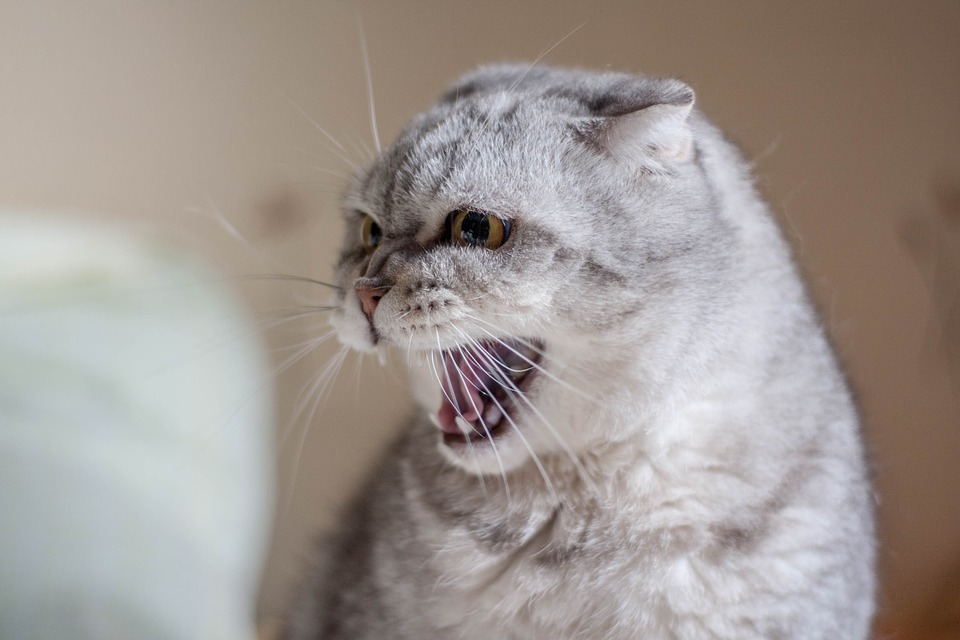 이 5 가지 징후는 당신이 당신의 전 애인에게 분개했음을 나타냅니다. 