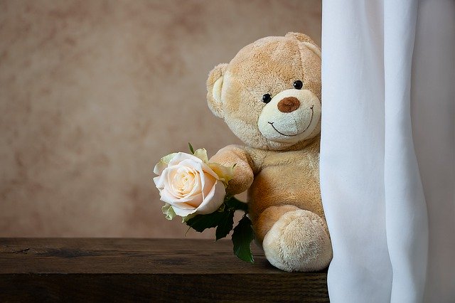 Teddy Day 2020:Estes são os ursinhos mais caros de todo o mundo 