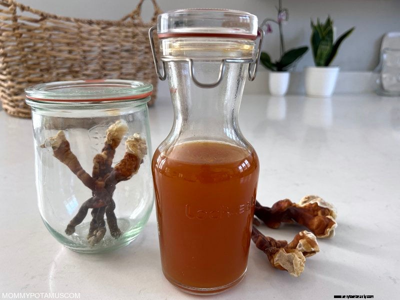 DIY Dual Extraction Reishi Tincture (Benefits + Video) 