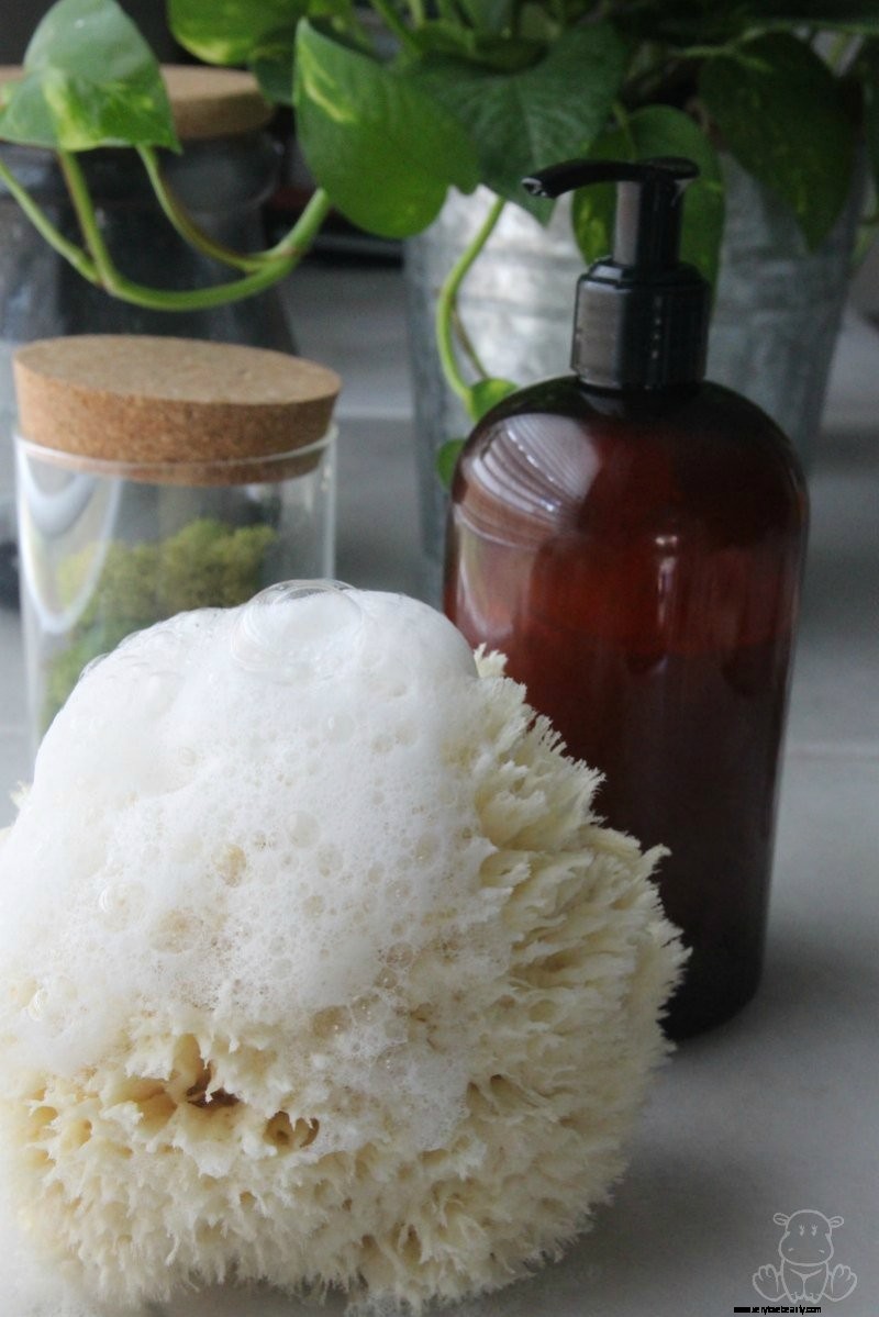 Hydrating Homemade Body Wash (3 ingrédients recette) 