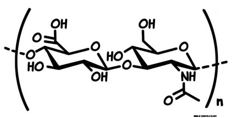 Recette de sérum d acide hyaluronique de bricolage 