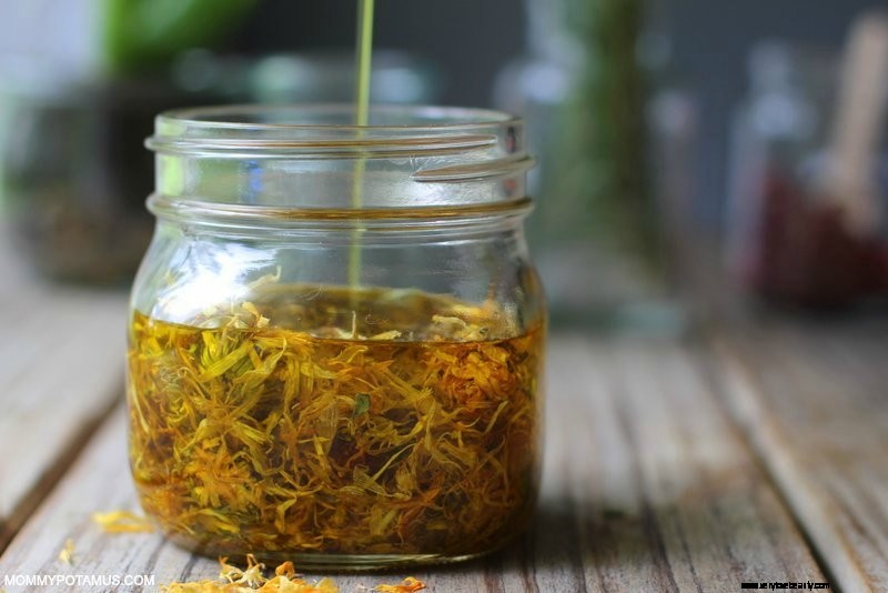 Comment faire de l huile de calendula (et 7 façons de l utiliser) 