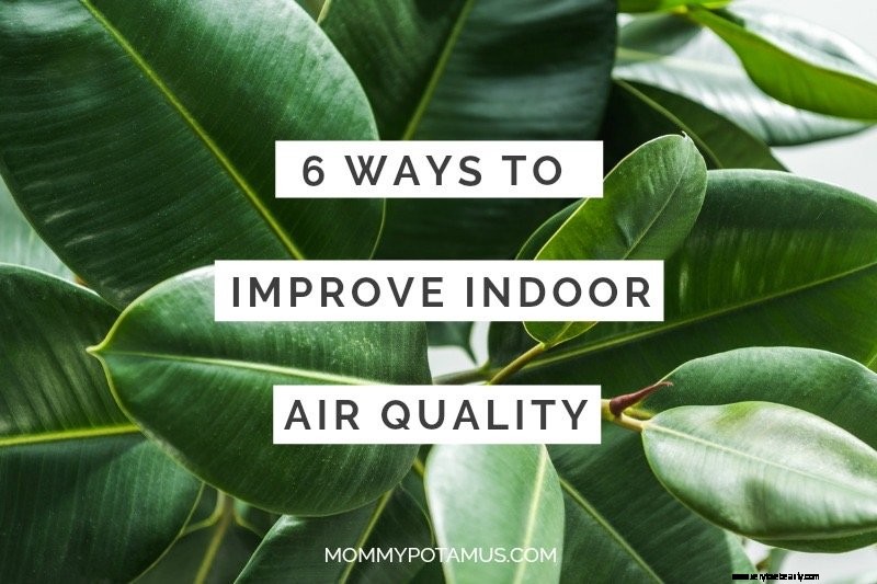 9 façons d améliorer la qualité de l air intérieur (et pourquoi vous devez le faire) 