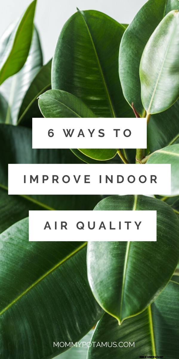 9 façons d améliorer la qualité de l air intérieur (et pourquoi vous devez le faire) 