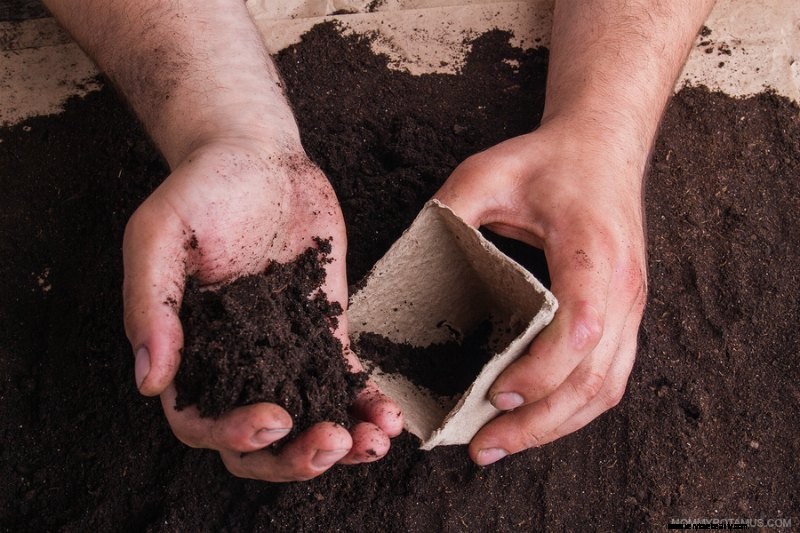 Jardinage végétal pour les débutants:conseils et comment commencer 