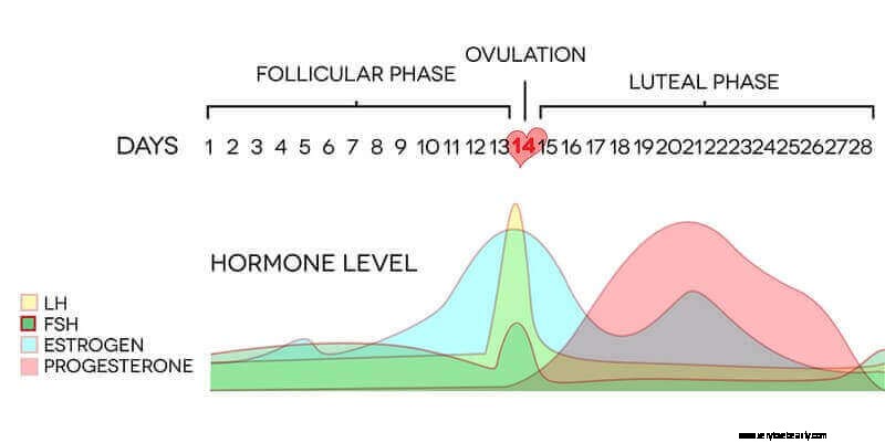 Holistisk guide till hormontestning 