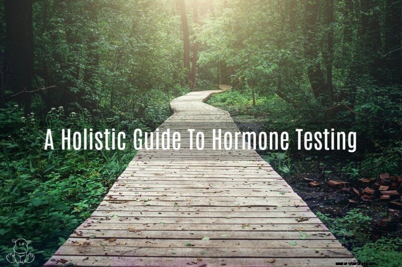 Holistisk guide till hormontestning 