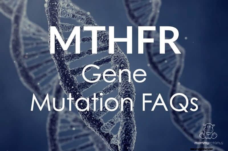 MTHFR génové mutácie FAQ 