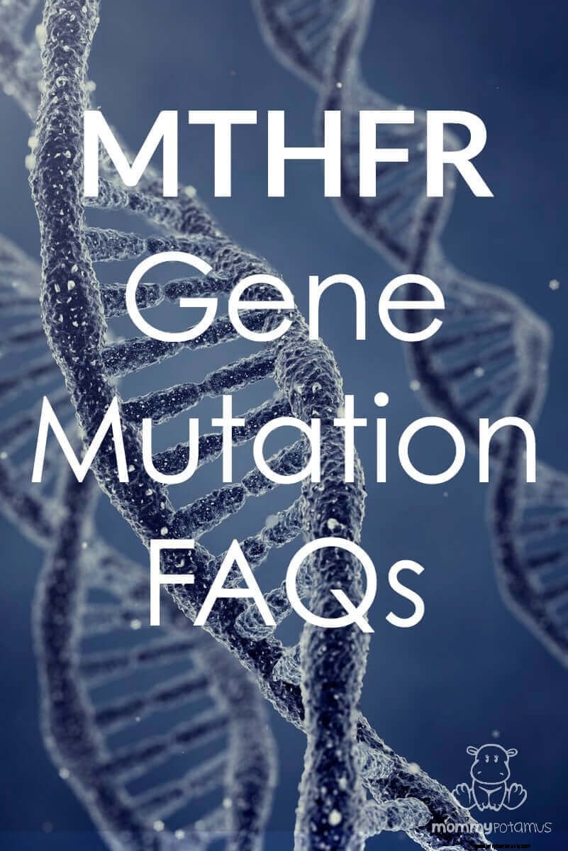 MTHFR -genmutation Vanliga frågor 