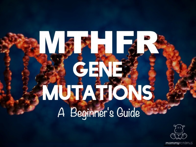 MTHFR -genmutationer:En nybörjarguide 