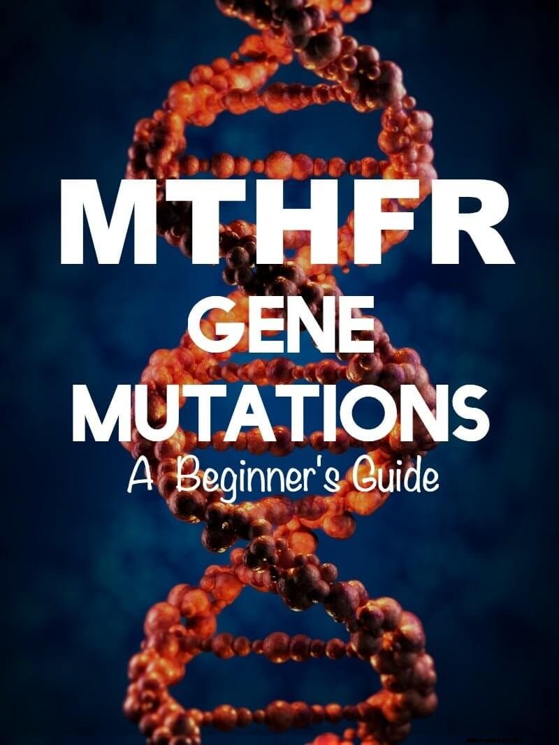 MTHFR -genmutationer:En nybörjarguide 