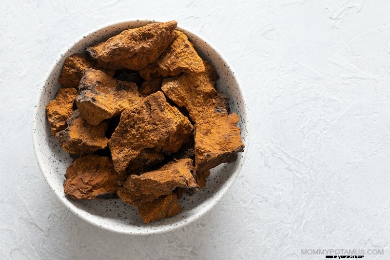 6 Beneficios de los hongos Chaga 