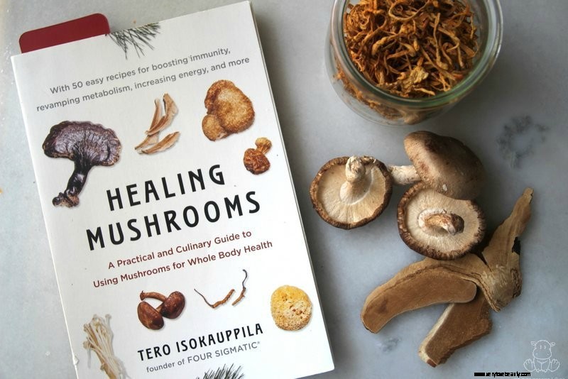 Top 16 Herb Books for Your Home Apothecary 