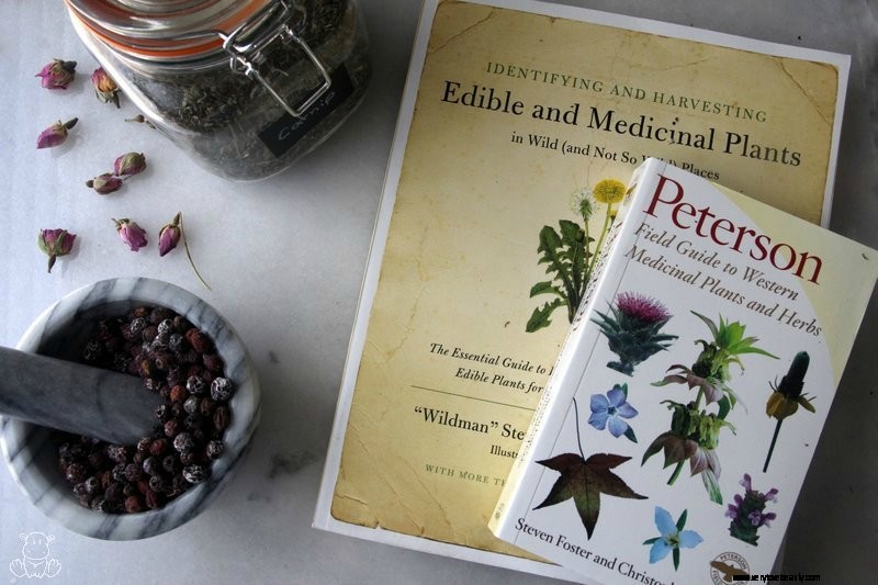 Top 16 Herb Books for Your Home Apothecary 