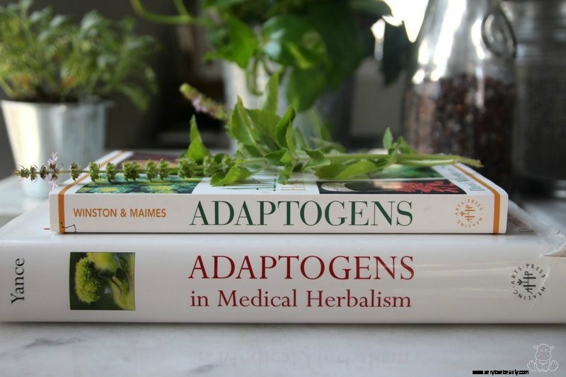 Top 16 Herb Books for Your Home Apothecary 