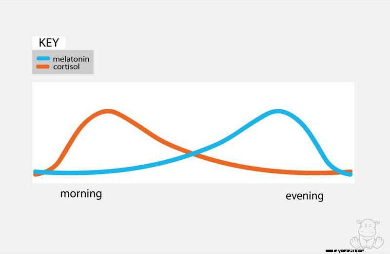 Melatonin for Sleep:¿Funciona y es seguro para los niños? 