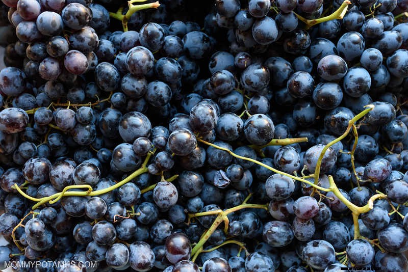 Cómo elegir un vino natural (y por qué importa) 