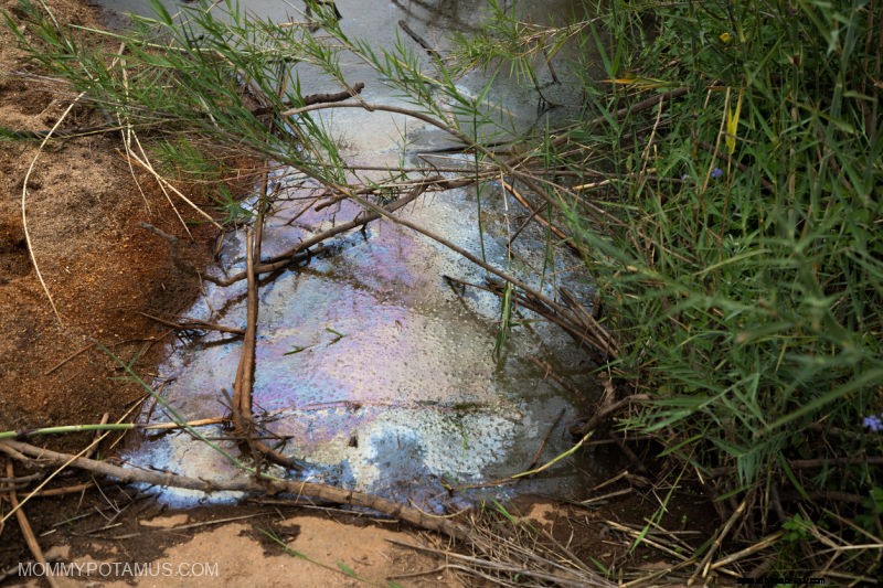 Cómo averiguar qué hay en el agua del grifo 