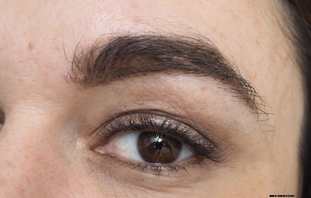 Wunderbrow 2 Semi Permanent Brow Gel Review  